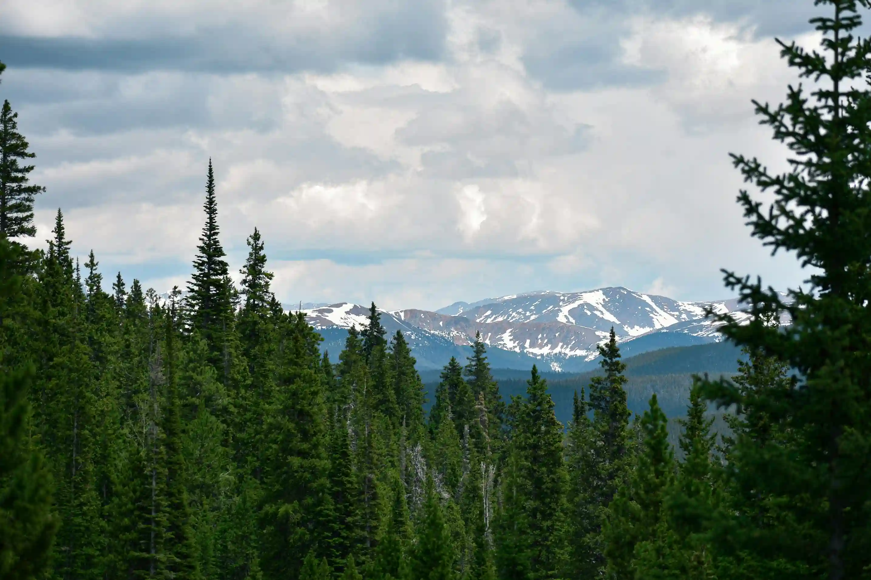 A photograph through a clearing in the trees with the Rocky Mountains in the distance